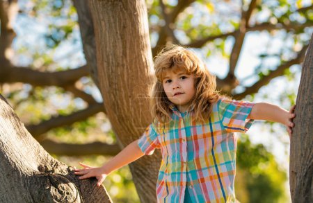 Téléchargez les photos : Enfant garçon grimpant haut arbre dans le parc d'été. Portrait d'un mignon garçon assis sur l'arbre, grimpant à un arbre. Garçon actif jouant dans le jardin. Concept de style de vie pour enfants. Concept d'enfance - en image libre de droit