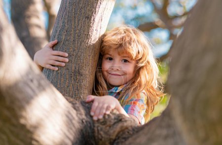 Téléchargez les photos : Enfant sur une branche d'arbre. Escalade d'enfants dans le parc d'activités aventure. Les assurances. Petit garçon face au défi d'essayer de grimper à un arbre - en image libre de droit