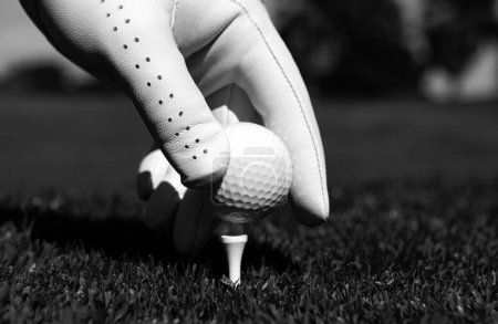 Téléchargez les photos : Main mettant la balle de golf sur le tee dans le terrain de golf. Boule de golf en herbe - en image libre de droit