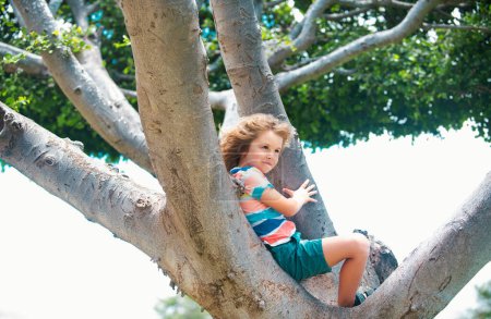 Téléchargez les photos : Mignon petit garçon appréciant grimper sur l'arbre le jour de l'été. Enfant mignon apprenant à grimper, s'amusant dans le parc d'été. Happy Kids temps dans la nature - en image libre de droit