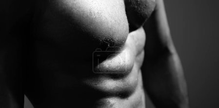 Foto de Torso de hombre. Hombre musculoso guapo con seis abdominales paquete - Imagen libre de derechos
