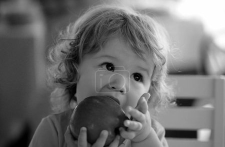 Téléchargez les photos : Bébé mignon manger des pommes. Portrait de mignon adorable enfant caucasien manger des fruits - en image libre de droit