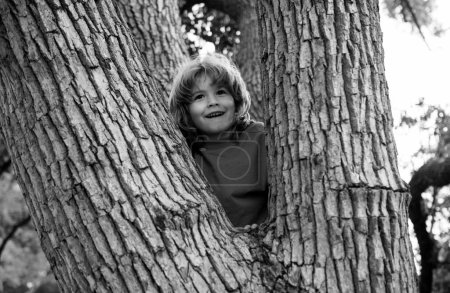 Porträt eines süßen Jungen, der an einem Sommertag auf dem großen alten Baum sitzt. Kind klettert auf einen Baum. Kleiner Junge sitzt draußen auf einem Ast. Aktiver Junge spielt im Park