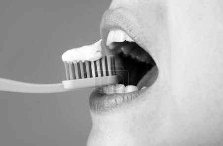 Téléchargez les photos : Brosse à dents dentiste de brossage des dents, santé dentaire - en image libre de droit