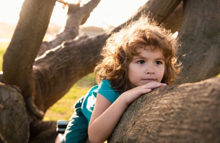 Téléchargez les photos : Portrait d'un mignon garçon assis sur le rameau le jour ensoleillé. Enfant grimpant à un arbre. En plein air, journée ensoleillée. Enfant actif jouant dans le jardin. Style de vie concept d'enfance - en image libre de droit