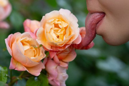 Photo for Tongue and sexy female lips. Sexy sensual womens open mouths. Tongue lick. Close-up Photo Of A Woman Showing Tongue. Closeup photo of funny attractive lady with long tongue. Sexy mouth licking flower - Royalty Free Image