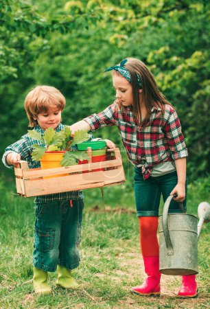 Photo for Brother and sister playing together in the garden. Cute little boy and girl watering plants in the garden at spring day. Happy little farmers having fun on field - Royalty Free Image