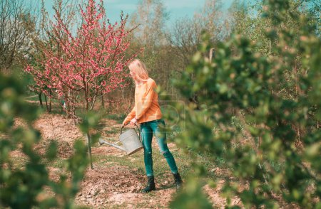 Téléchargez les photos : Heureuse jeune femme jardinière pulvérisant de l'eau sur les plantes. Concept de passe-temps. Jardinage fille sur le jardin de printemps - en image libre de droit