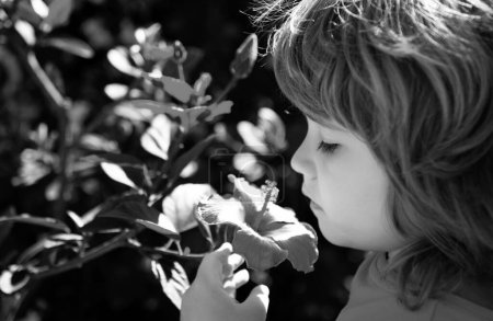 Photo for Spring allergy free kid boy sniffs blooming tree. Cute child in blossom bloom garden or backyard - Royalty Free Image