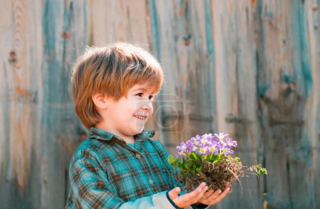 Photo for Little Farmer boy examining Common fig crop in plantation or field. Cute kid boy watering the sprout on field. Flower care and watering - Royalty Free Image