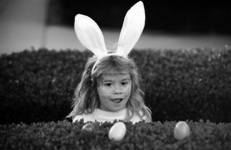 Foto de Niño recogiendo huevos, concepto de caza de huevos de Pascua. Niños celebrando la Pascua. Muchacho excitado en traje de conejo con orejas de conejo al aire libre. Niños divertidos cara de primer plano - Imagen libre de derechos