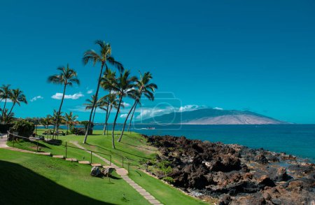 Foto de Vacaciones de verano, fondo de vacaciones de una playa tropical y mar azul. Playa de Hawaii. Palmeras de coco - Imagen libre de derechos