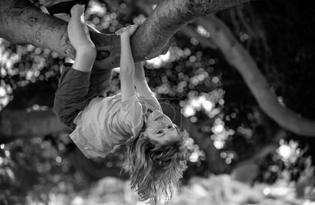 Téléchargez les photos : Petit garçon jouant et grimpant à un arbre et accrochant une branche. Jeune garçon jouant et grimpant un arbre et accrochant à l'envers - en image libre de droit