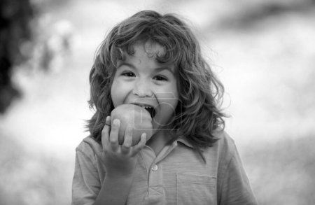 Téléchargez les photos : Une saine alimentation. Joyeux petit enfant tenant des pommes dans le parc vert d'été - en image libre de droit
