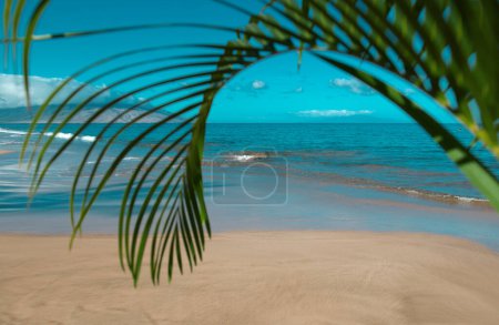 Téléchargez les photos : Plage et mer tropicale. Plage de l'océan colorée. paysage d'eau turquoise claire, Maldives ou Hawaï. Feuilles vertes de palmier - en image libre de droit