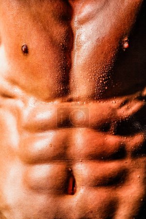 Photo for Male model body, nude torso. Close up Male chest. Chest muscles. Muscled male torso with abs. Athletic Man showing muscular body and six pack abs - Royalty Free Image