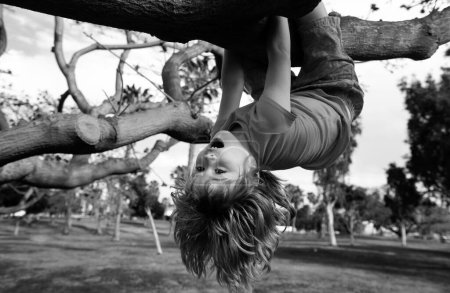 Netter blonder Junge hängt an einem Ast. Sommerferien, kleiner Junge klettert auf einen Baum. Kopfüber. Kinder lieben die Natur auf dem Land