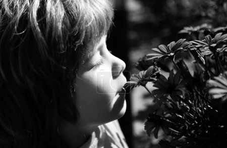 Photo for Kids allergy free. Little boy smelling flower outdoor. Kid sniffing flowers. Spring park - Royalty Free Image