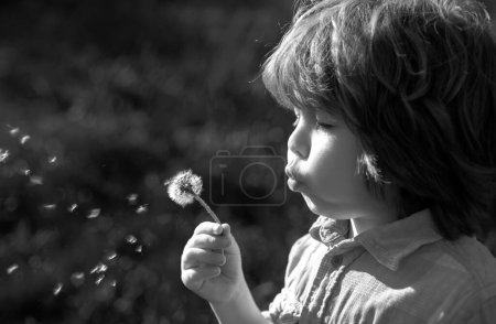 Téléchargez les photos : Printemps ou été enfant souffler des fleurs de pissenlits sur fond de marche et d'herbe. Concept d'harmonie de l'âme - en image libre de droit