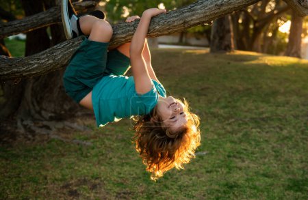 Téléchargez les photos : Un drôle de grimpeur. Enfant grimper haut arbre dans le parc d'été - en image libre de droit