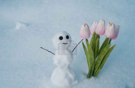 Téléchargez les photos : Bonhomme de neige avec des fleurs de tulipes printanières. Hiver bonhomme de neige avec bâton main - en image libre de droit