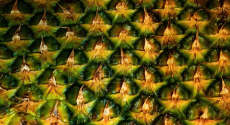Téléchargez les photos : Pineapple bark. Pineapple background. Pineapple skin close up, tropical pattern with copy space - en image libre de droit