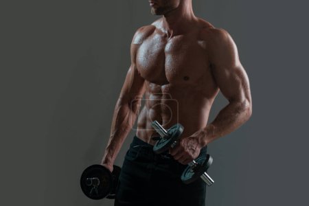 Photo for Sporty torso, man with dumbbells. Power, strength and healthy lifestyle, sport. Powerful attractive muscular man trainer do workout - Royalty Free Image