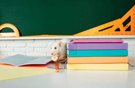 Téléchargez les photos : Banner retourne à l'école. Rat blanc mangeant assis sur le livre. Conception avec espace de copie - en image libre de droit
