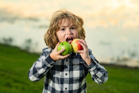 Fresh ripe apple for children. Kid eat apple. Child nutrition. Portrait of happy smiling child boy with apples outdoor