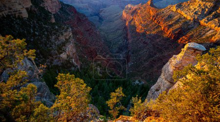 Foto de Canyonlands desert landscape. Canyon national park wallpaper - Imagen libre de derechos