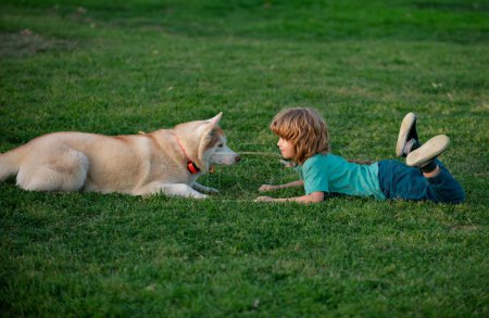 Téléchargez les photos : Joyeux enfant et chien sur l'herbe. Enfant garçon mignon avec chien relaxant sur le parc. Jeux amusants avec animal de compagnie en vacances d'été. Husky chien et enfant regarder l'autre - en image libre de droit