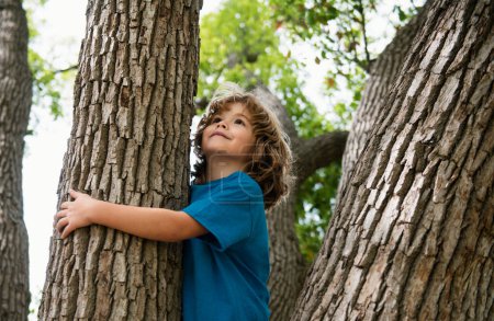 Téléchargez les photos : Un jeune garçon étreignant une branche d'arbre. Petit garçon sur une branche d'arbre. Un enfant grimpe un arbre - en image libre de droit