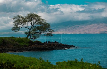 Foto de Paisaje tranquila playa. Fondo de Hawaii, paraíso tropical hawaiano - Imagen libre de derechos