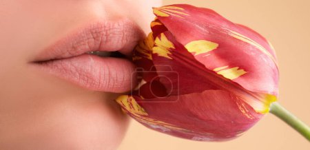 Téléchargez les photos : Lèvres féminines avec rouge à lèvres naturel. La bouche des femmes sensuelles. Lèvres brillantes à lèvres brillantes. Les lèvres séduisantes d'une jeune femme - en image libre de droit