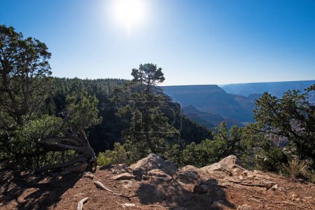 Téléchargez les photos : Vue panoramique du Grand Canyon. Vue panoramique sur le parc national de l'Arizona. Vue sur la vallée au crépuscule - en image libre de droit