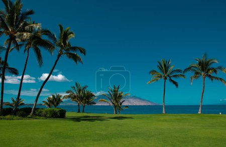 Téléchargez les photos : Plage tropicale avec plage de sable, océan, feuilles de palmier, palmiers et ciel bleu. Fond de plage d'été - en image libre de droit