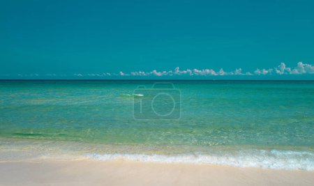 Téléchargez les photos : Vague de la mer sur la plage de sable. Point de vue paysage lumière du jour pour carte postale design - en image libre de droit