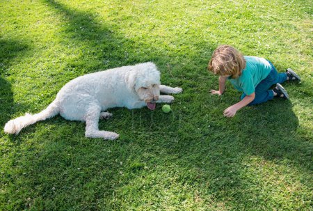 Téléchargez les photos : Joyeux enfant et chien sur l'herbe. Mignon garçon enfant avec chien relaxant sur le parc - en image libre de droit