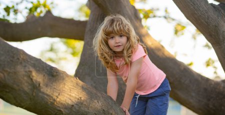 Photo for Kid climbing on a tree branch. Child climbs a tree - Royalty Free Image