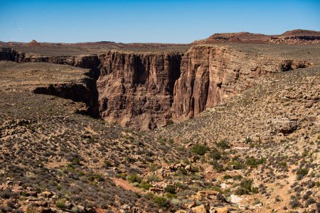 Photo for Canyon national park. Canyonlands desert landscape. Canyon area desert in Nevada - Royalty Free Image