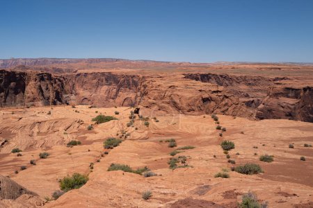 Canyon national park. Canyonlands desert landscape. Canyon area desert in Nevada