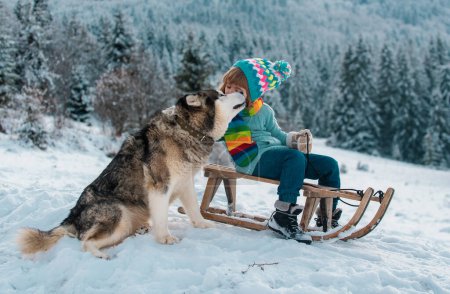 Photo for Boy child sitting on the sleigh and hug embrace dog husky. Tender cute dog. Children play with wolves dog. Winter vacation concept. Pet love - Royalty Free Image