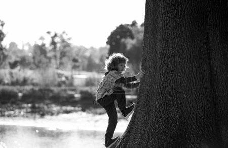 Photo for Kid boy playing climbing on tree outdoor on autumn day. Child learning to climb, having fun in park on warm sunny day - Royalty Free Image