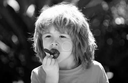Photo for Healthy kids food. Kids pick fresh organic strawberry. Cute little boy eating a strawberrie - Royalty Free Image