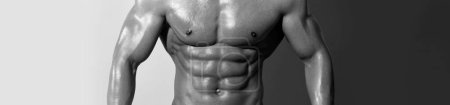 Téléchargez les photos : Modèles de bannière avec homme musclé, torse musculaire, six pack abs muscle - en image libre de droit