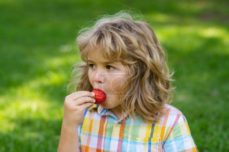 Téléchargez les photos : Enfant garçon tenir assiette fraise dans le parc. Fraises pour enfants. Été mignon enfant visage - en image libre de droit