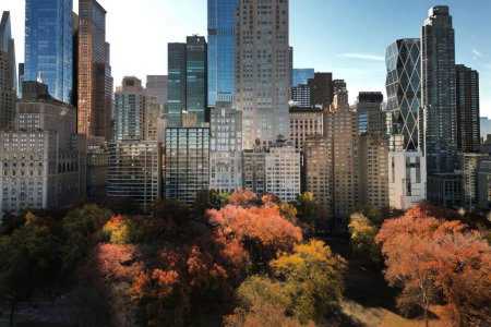 New York Autumn Fall. Autumnal New York Central Park view from drone. Aerial of New York City Manhattan Central Park panorama in Autumn. Central Park during autumn in New York City