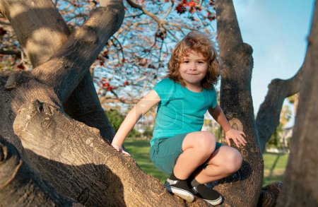 Téléchargez les photos : Un gamin grimpe à un arbre. Petit garçon escalade dans le parc d'activités d'aventure - en image libre de droit