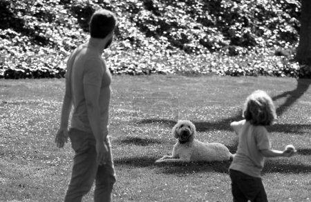 Foto de Vista trasera de la familia con perro relajándose en el parque - Imagen libre de derechos