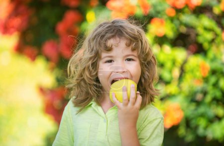 Photo for Healthy eating. Happy little child holding apples in summer green park - Royalty Free Image